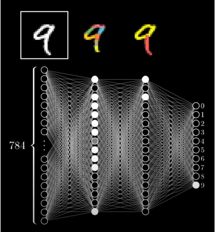 Simplified Neural Network Showing Activated Neurons in Each Layer