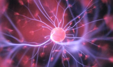 The Rise of Neurotechnology