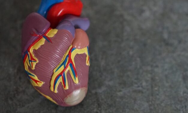 How Can Stem Cells Regenerate Cardiac Tissue that Died During a Heart Attack?
