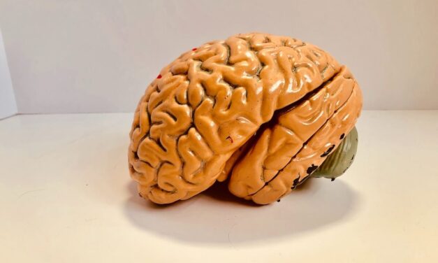 The Science of Forgetting