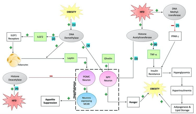 Emotional Intelligence 1