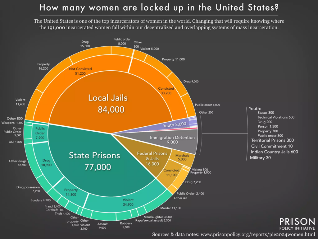 Prison Graphs Prison in Pink: The Struggles of Female Incarceration | OxJournal