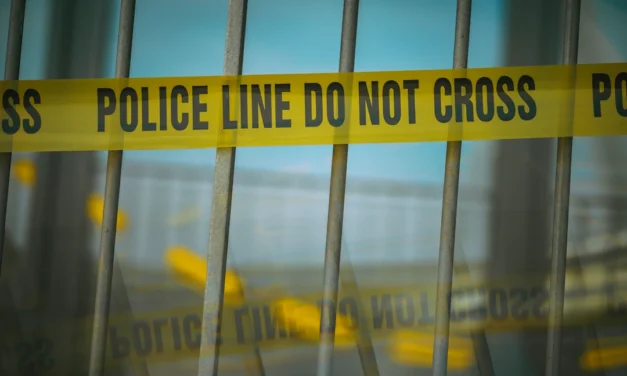 Crime as an Addiction: Adrenaline, Dopamine and Emotional Arousal