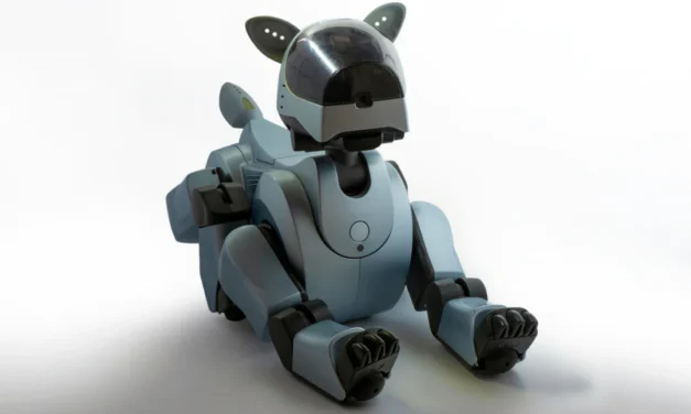 AI-Enabled Human-Robot Interaction and Its Societal Implications