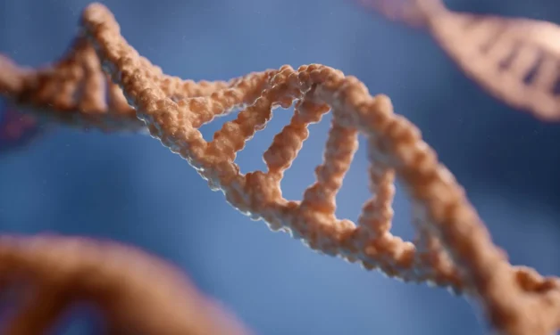 The Epigenetic Relation Between Substance Abuse and Mental Health Disorders