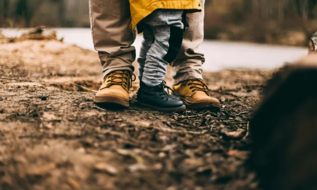 Effects of Parenting and Adverse Childhood Experience on Lifetime Health