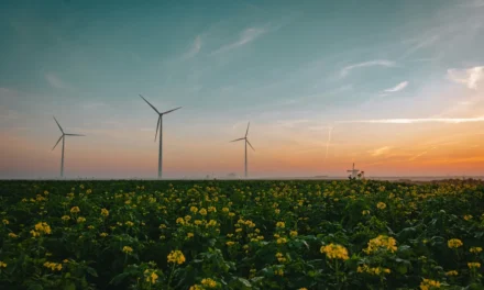 The Energy Charter Treaty and the Fossil Fuel Phase-Out: An Obstacle to Climate Justice?