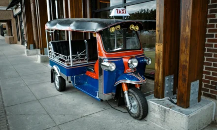 A Study on the Re-Design and Integration of a User-Centred Electric Rickshaw Rental Service