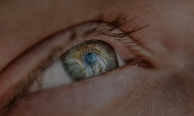 Machine Learning Approaches to the Diagnosis and Prognostication of Diabetic Retinopathy: A Review