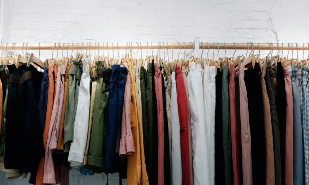 The Economics of Fast Fashion: How Do the Low Prices of Fast Fashion Reflect Hidden Costs for Workers, Consumers and the Environment?