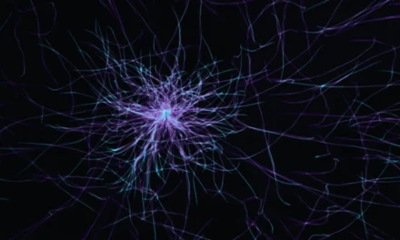 Neurological Mechanisms and Cognitive Function in Autism Spectrum Disorder