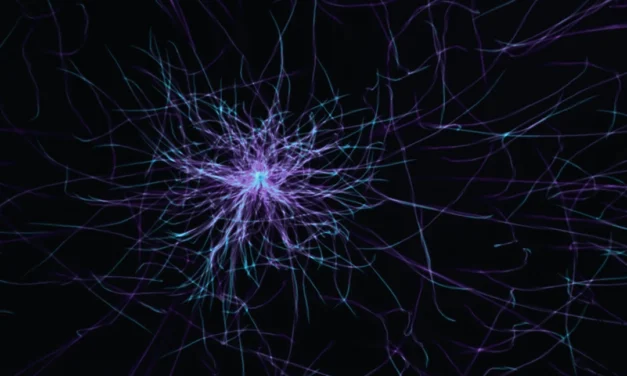 Neurological Mechanisms and Cognitive Function in Autism Spectrum Disorder