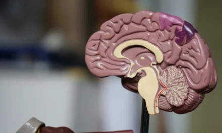 How Effective Is the Use of FGFR3 Inhibitors in Treating Glioblastomas and Gliomas?