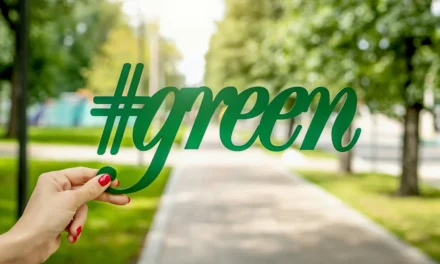 Greenwashing and the Law: A Comparative Analysis of the UK and the USA