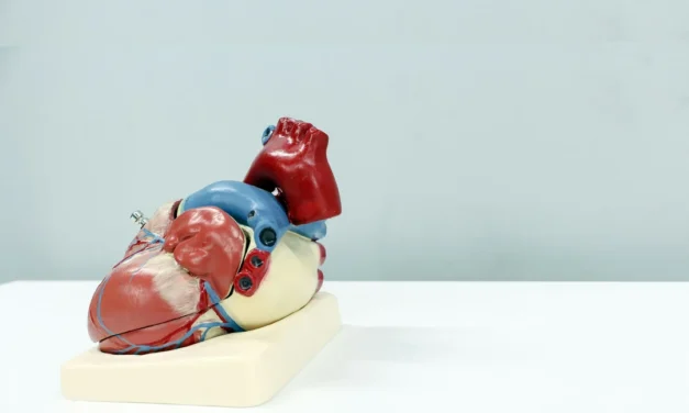To What Extent Can Regenerative Medicine Restore Damaged Cardiac Tissue Following Myocardial Infarction?