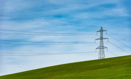 Artificial Intelligence: Environmental Burden or Benefit?