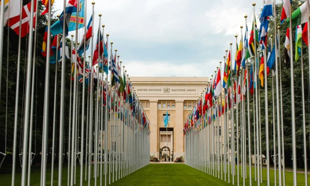 International Law Institutions: Leading Us to or Away From the Water of Peace?